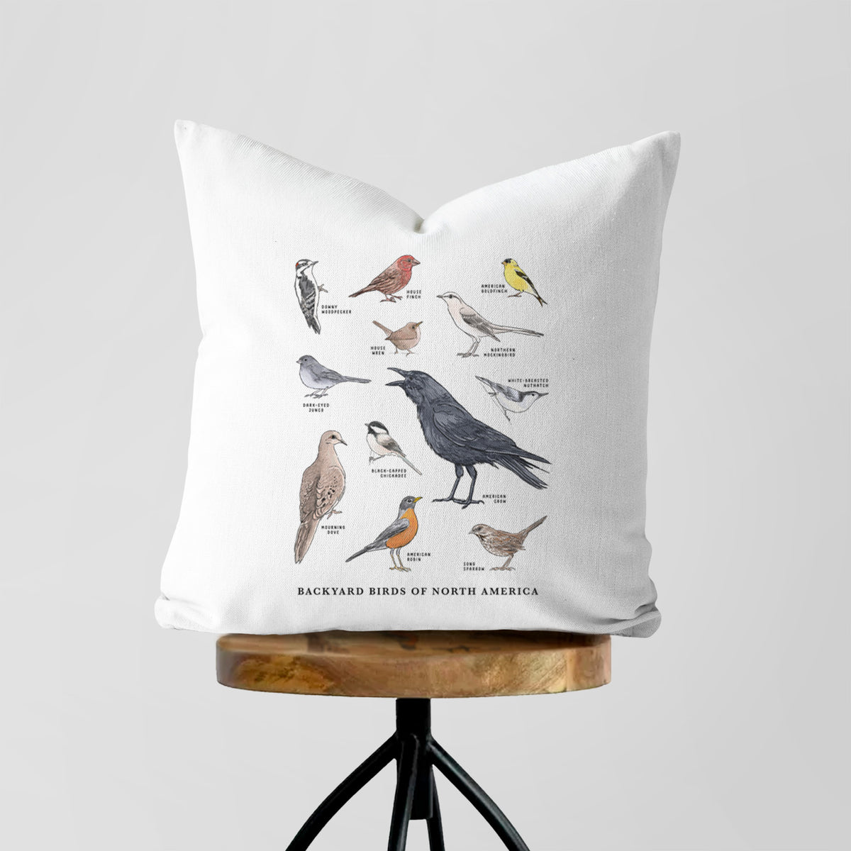 White pillow cover printed with a full-color chart of North American backyard birds, each labeled with its species, on a wooden stool.