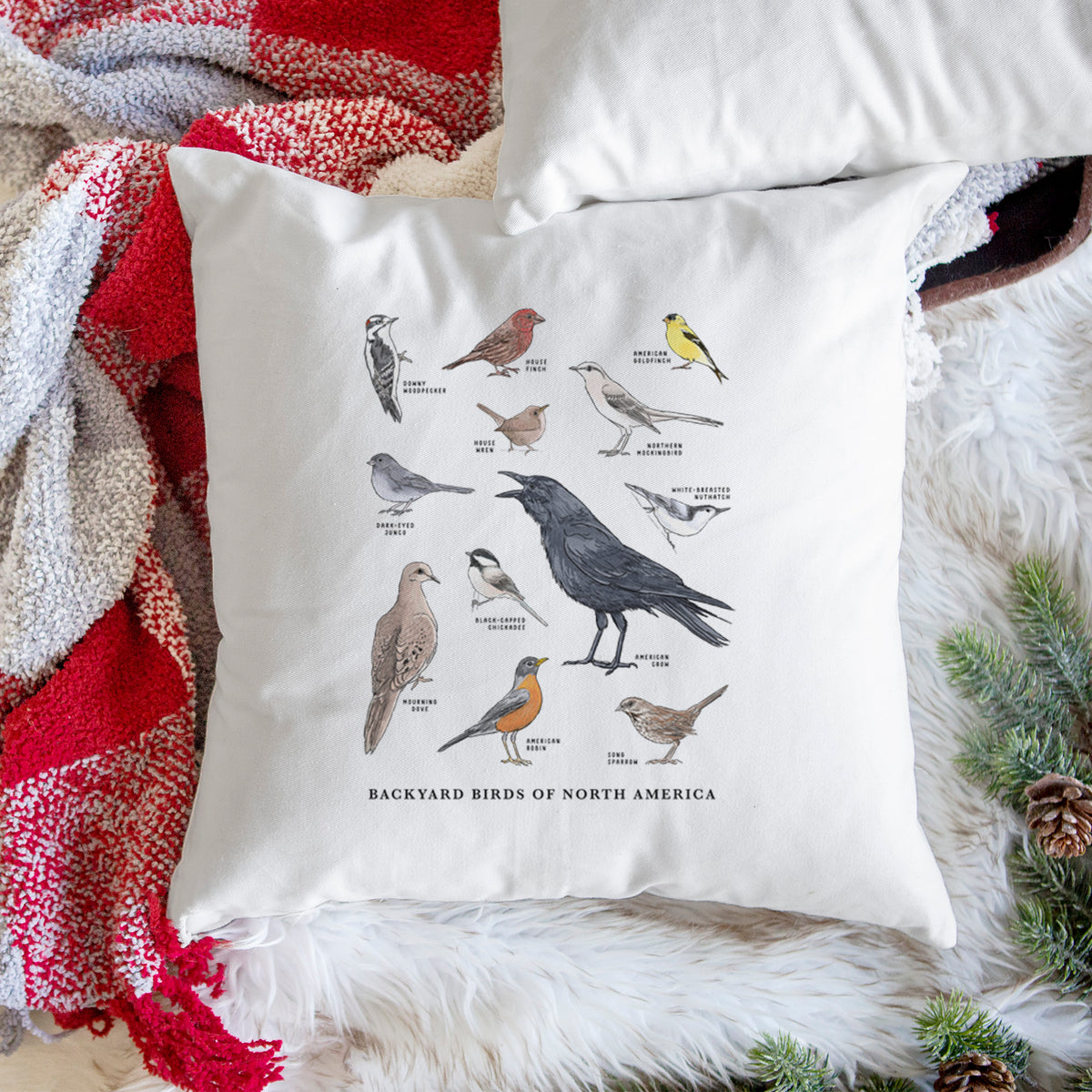 White pillow cover printed with a full-color chart of North American backyard birds, each labeled with its species, on a woven chair.