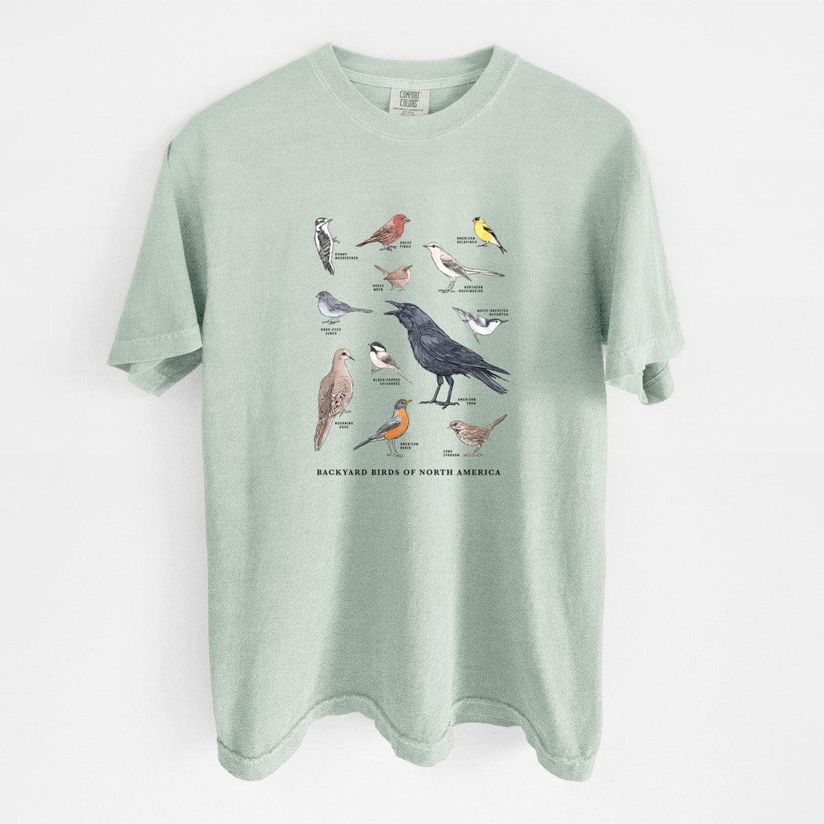 Bay green Comfort Colors t-shirt laid flat, printed with a full-color chart of North American backyard birds, each labeled with its species.