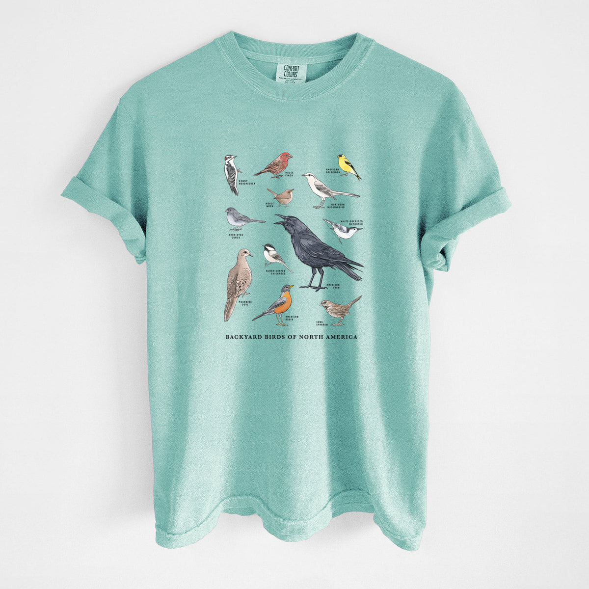 Chalky mint Comfort Colors t-shirt laid flat, printed with a full-color chart of North American backyard birds, each labeled with its species.