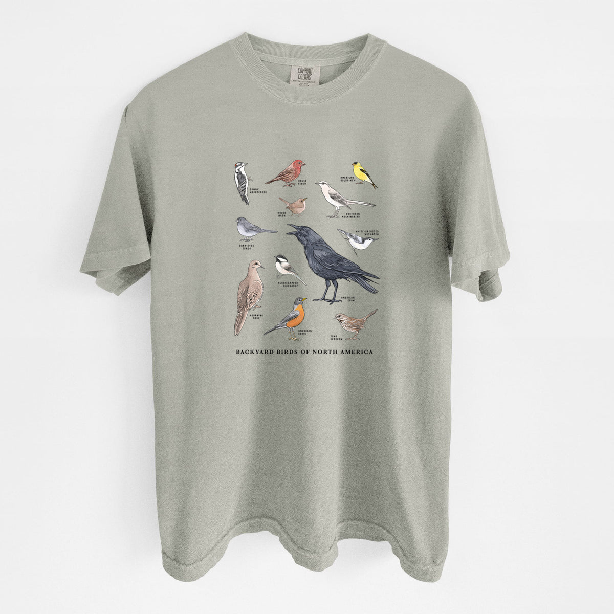 Sandstone beige Comfort Colors t-shirt laid flat, printed with a full-color chart of North American backyard birds, each labeled with its species.