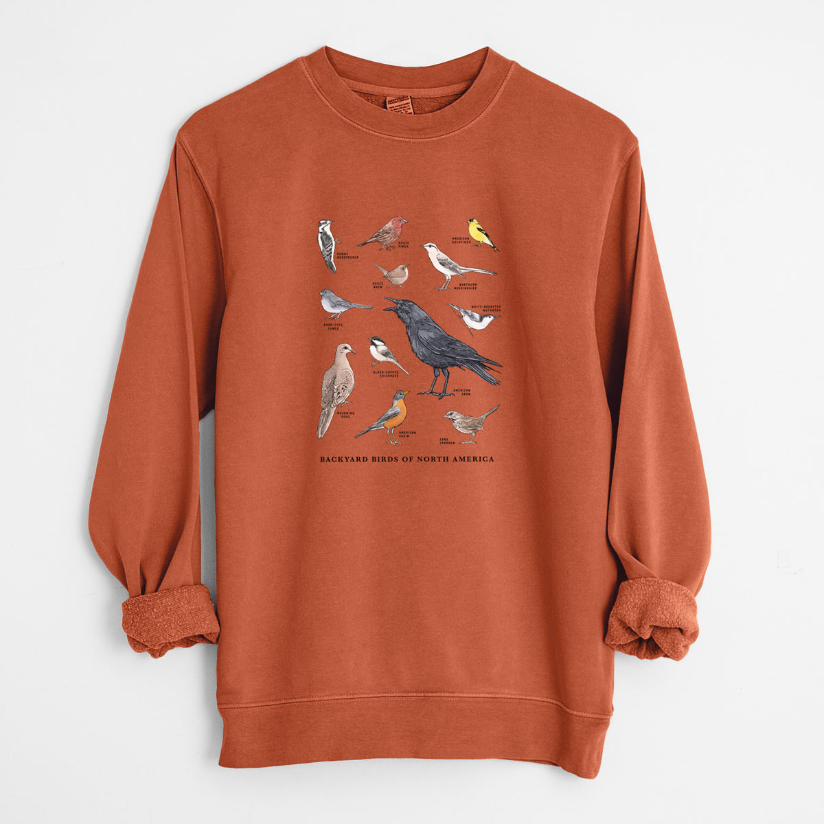 Amber orange pigment dyed crewneck sweatshirt laid flat with the sleeves rolled, printed with a full-color chart of North American backyard birds, each labeled with its species.