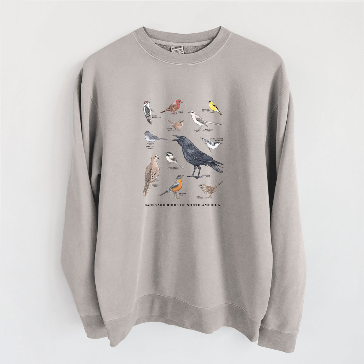 Common Backyard Birds of North America - Unisex Pigment Dyed Crew Sweatshirt in Cement