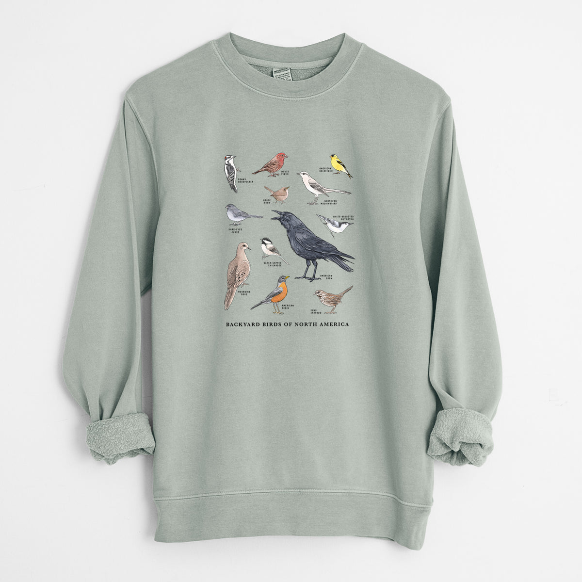 Common Backyard Birds of North America - Unisex Pigment Dyed Crew Sweatshirt in Sage