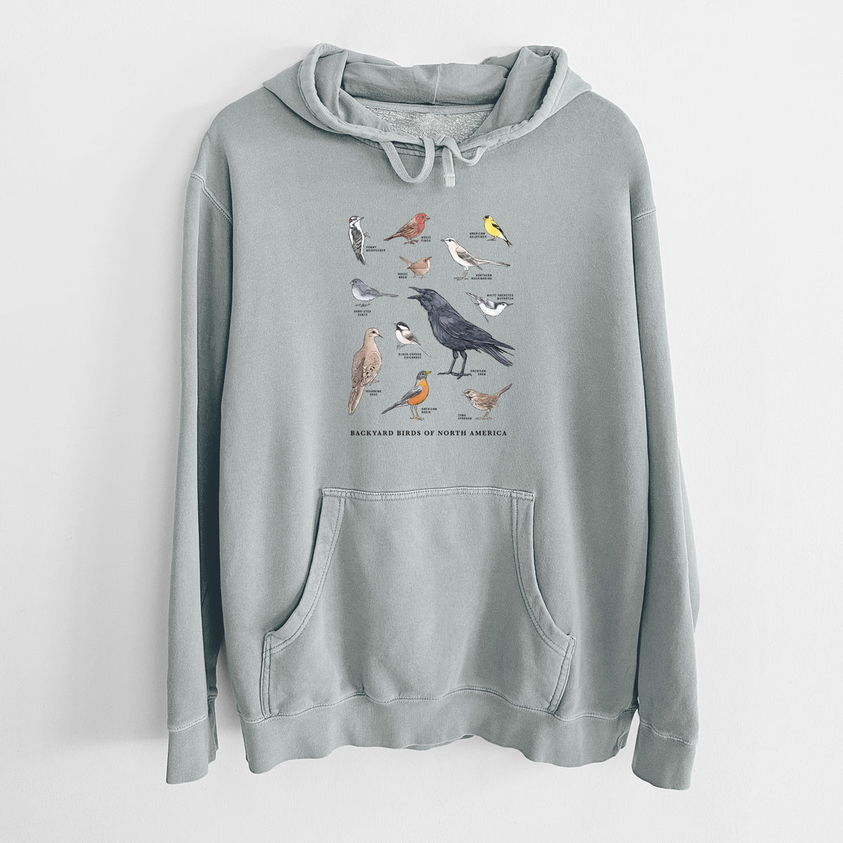 Sage green pigment dyed hoodie laid flat, printed with a full-color chart of North American backyard birds, each labeled with its species.