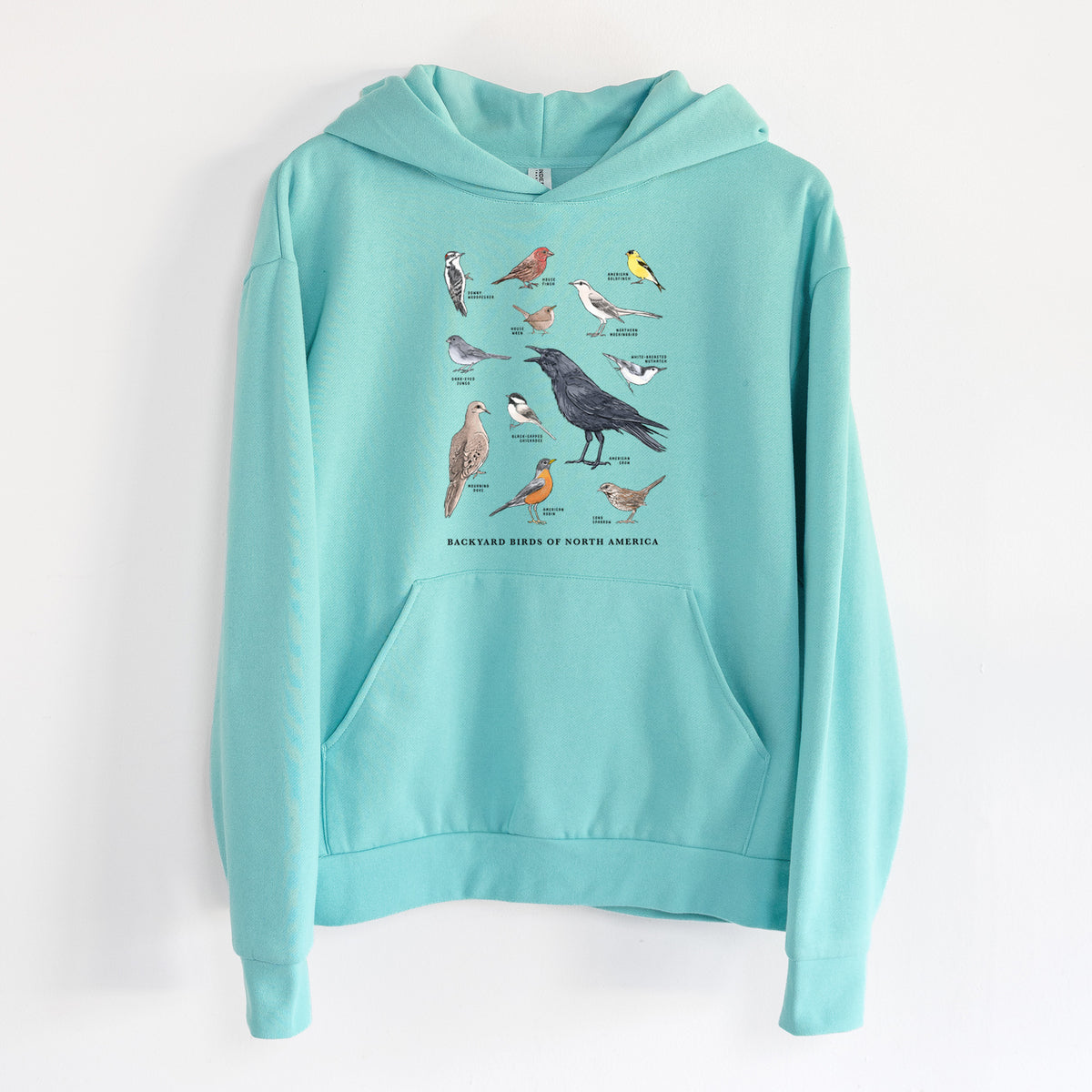 Common Backyard Birds of North America - Statement Midweight Hoodie in Seafoam, hanging on a white wall, with a front kangaroo pocket and no drawcords.