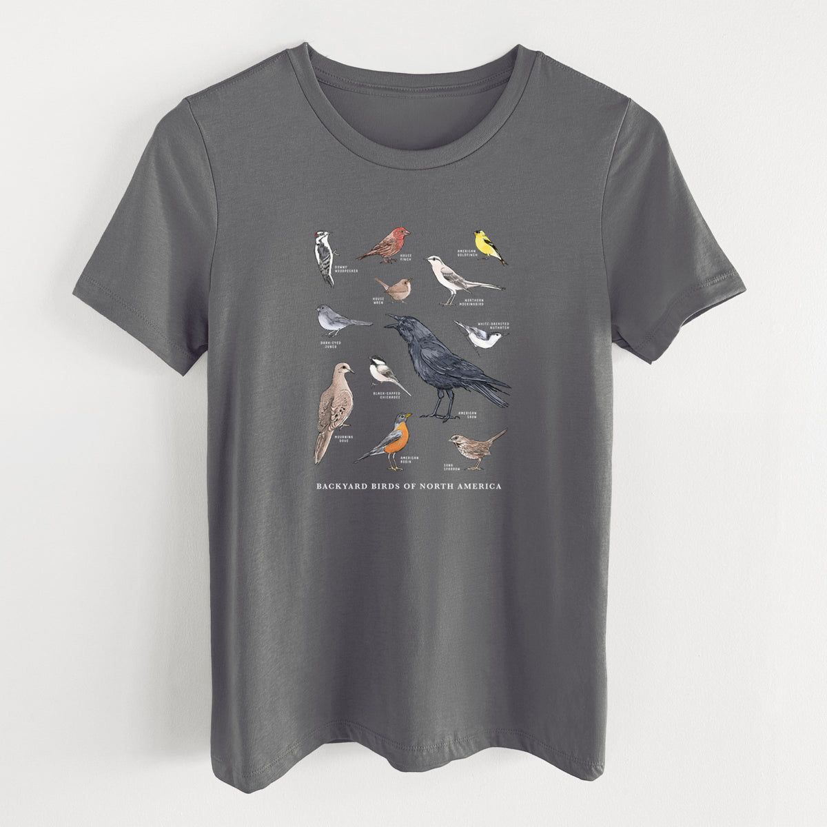 Asphalt women's relaxed fit cotton t-shirt laid flat, printed with a full-color chart of North American backyard birds, each labeled with its species.