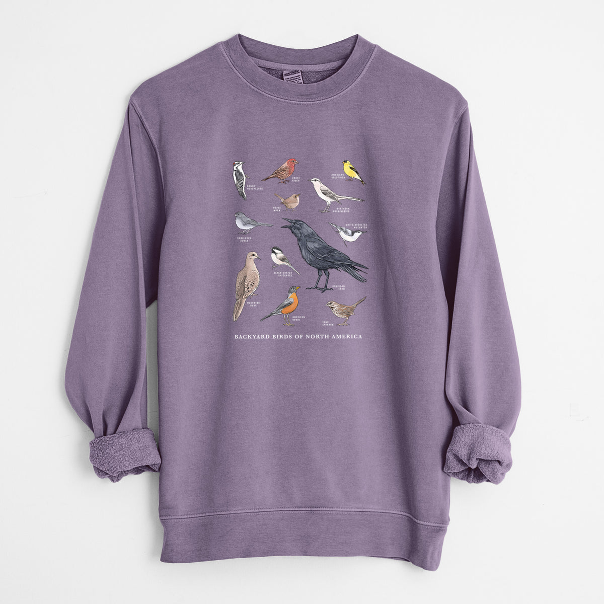 Common Backyard Birds of North America - Unisex Pigment Dyed Crew Sweatshirt in Plum