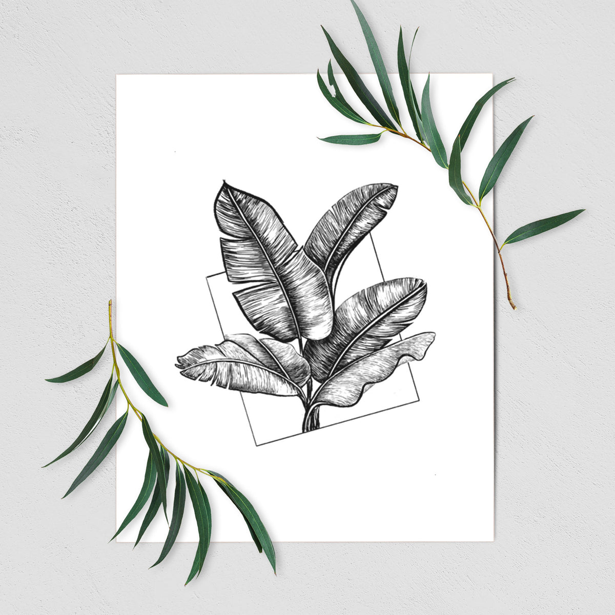 Art print of a black ink illustration of banana leaves in front of a square outline, shown with eucalyptus leaves.