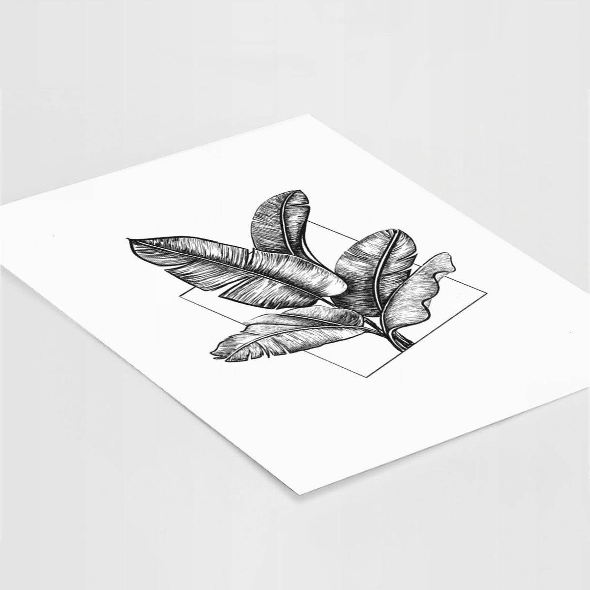 Art print of a black ink illustration of banana leaves in front of a square outline, lying at an angle on a white surface.