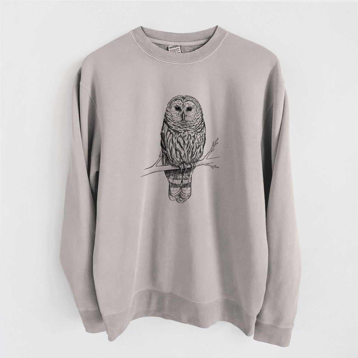 Barred Owl - Strix varia - Unisex Pigment Dyed Crew Sweatshirt in Cement