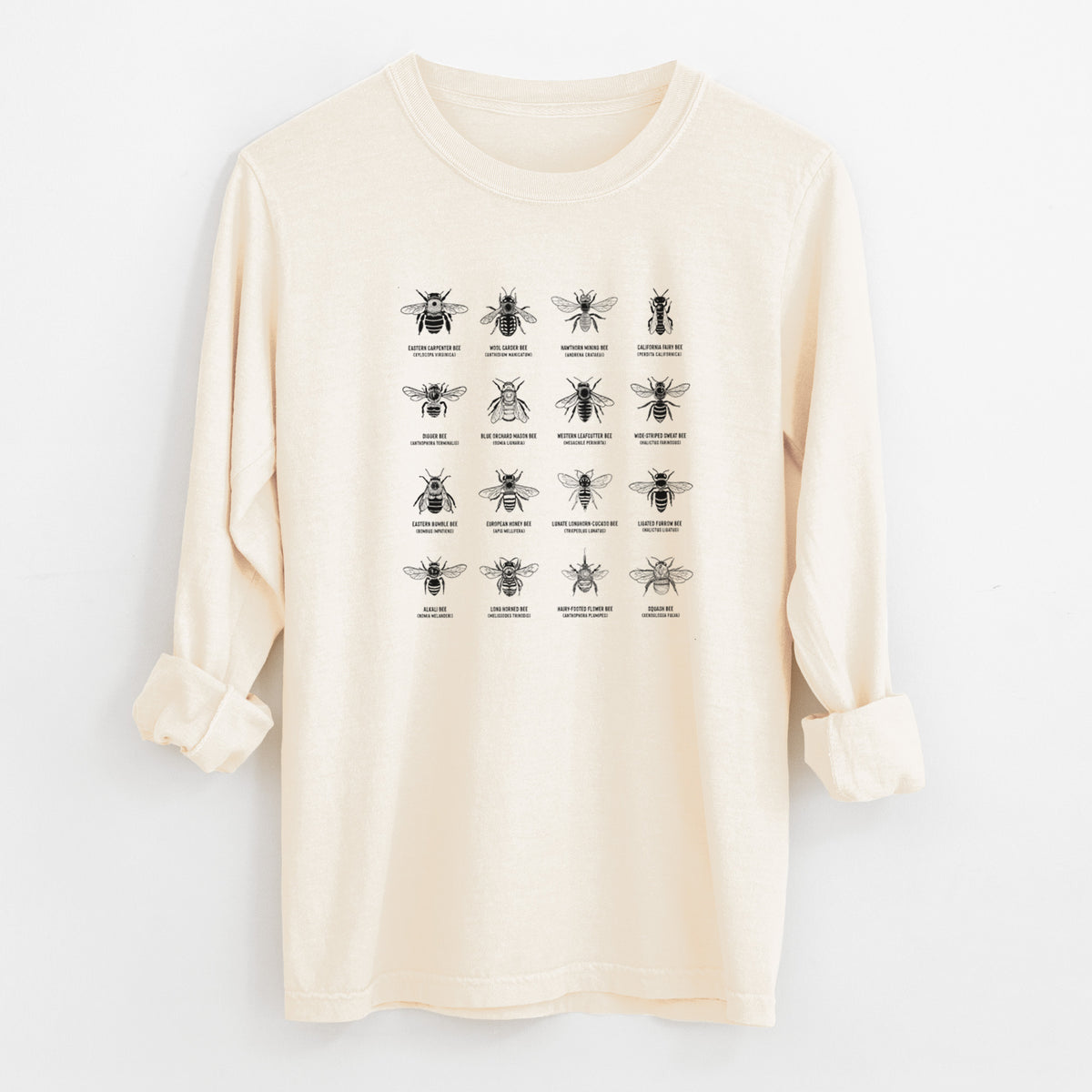 Ivory Comfort Colors long sleeve shirt laid flat with the cuffs rolled, printed with a chart of black ink illustrations of different bee species with their names.