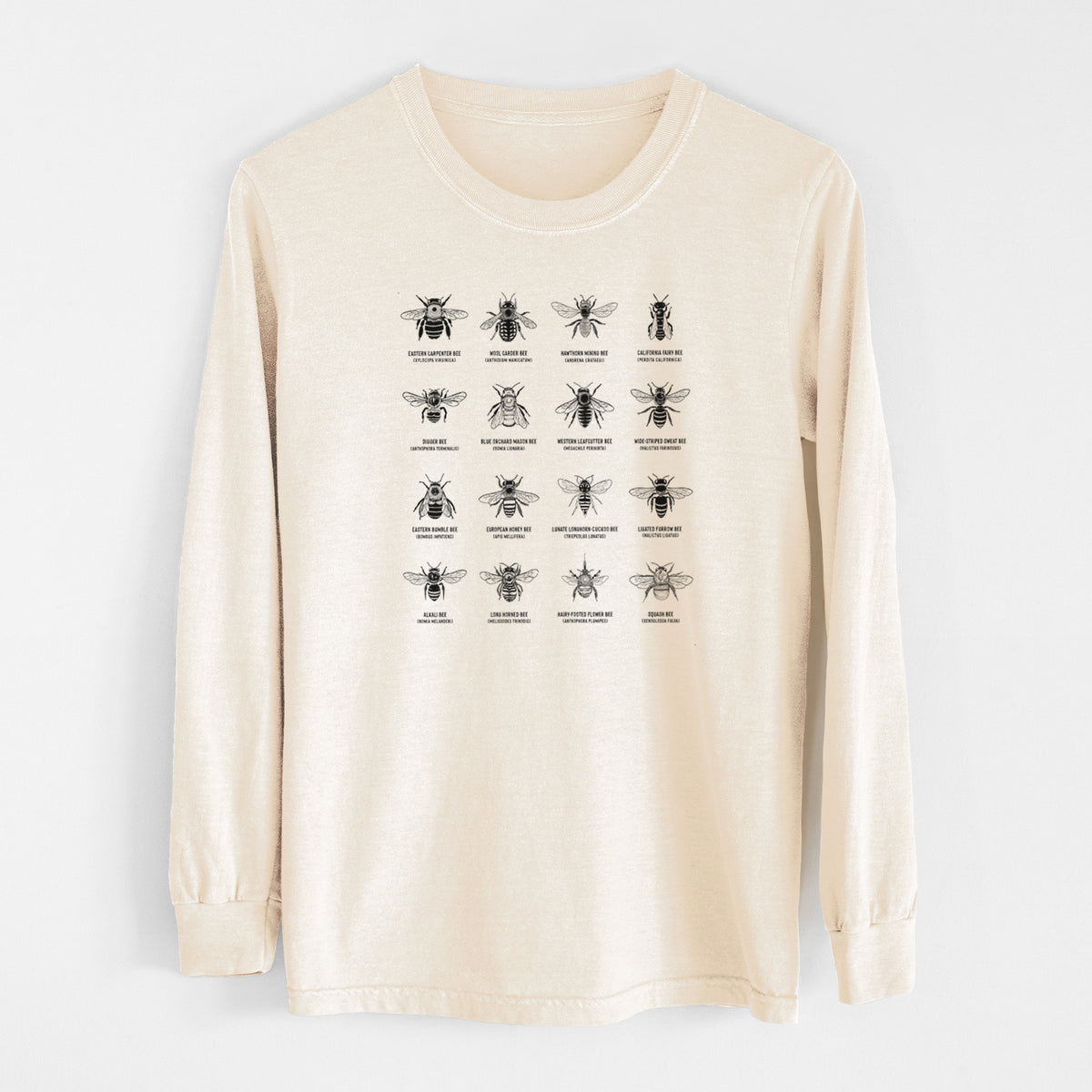 Ivory Comfort Colors long sleeve shirt laid flat, printed with a chart of black ink illustrations of different bee species with their names.