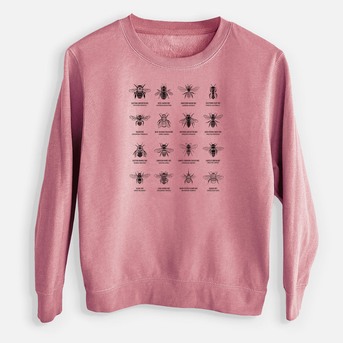 Mauve pink youth crewneck sweatshirt laid flat, printed with a chart of black ink illustrations of different bee species with their names.