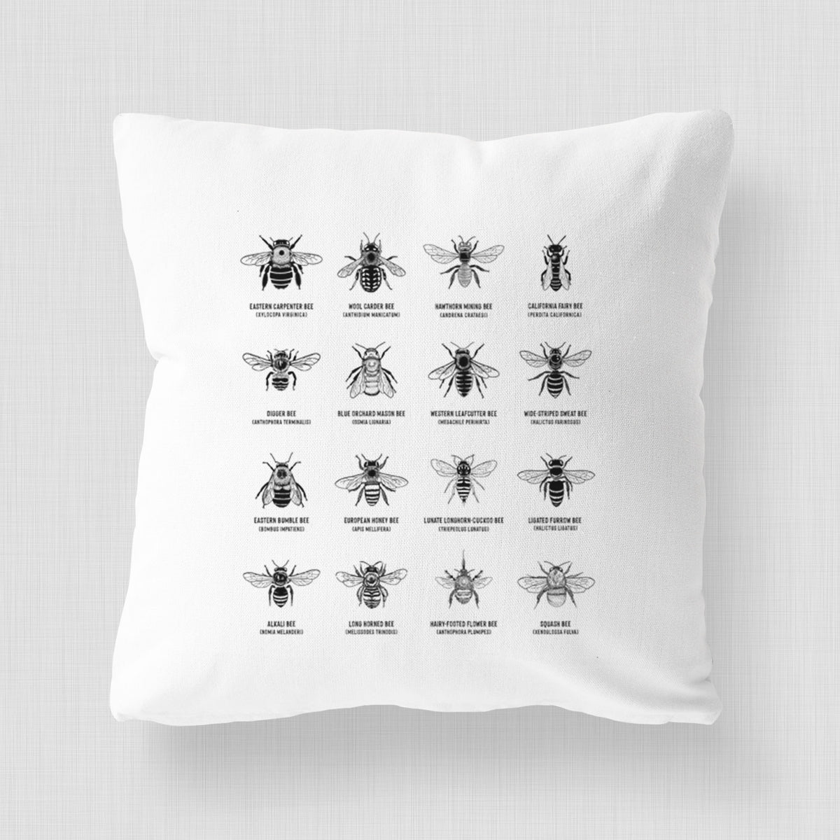 White pillow cover printed with a chart of black ink illustrations of different bee species with their names.