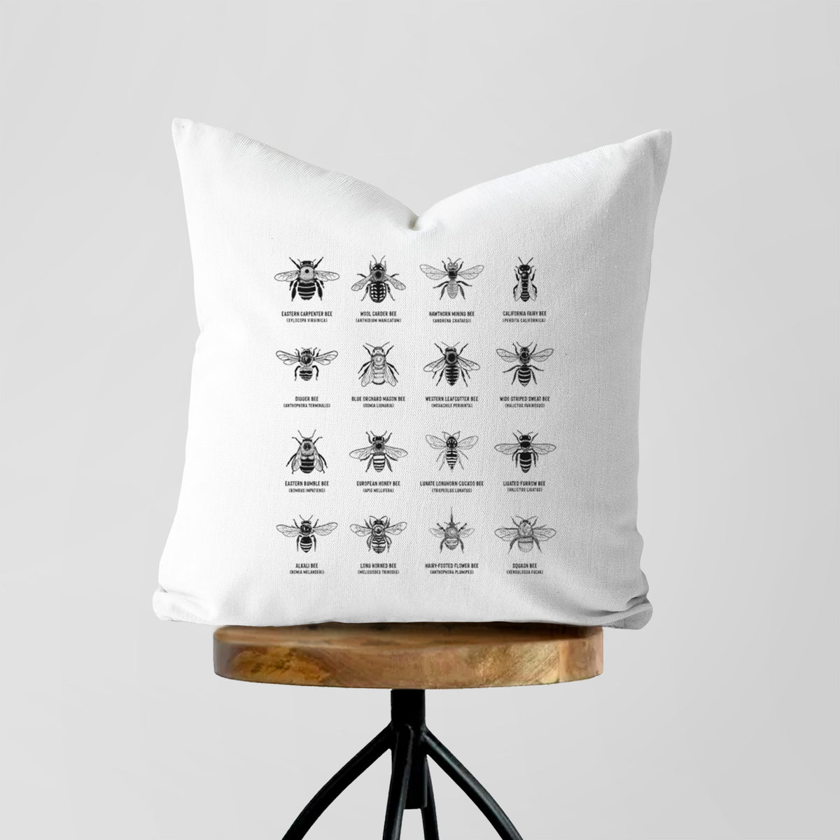White pillow cover printed with a chart of black ink illustrations of different bee species with their names, on a wooden stool.