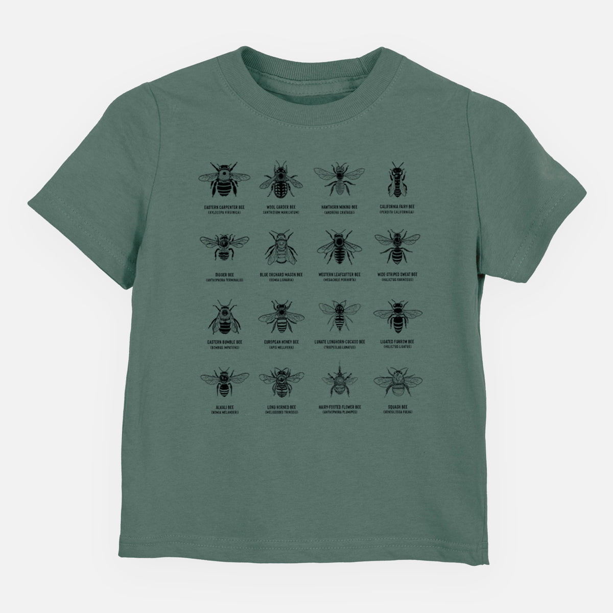 Basil green toddler t-shirt laid flat, printed with a chart of black ink illustrations of different bee species with their names.