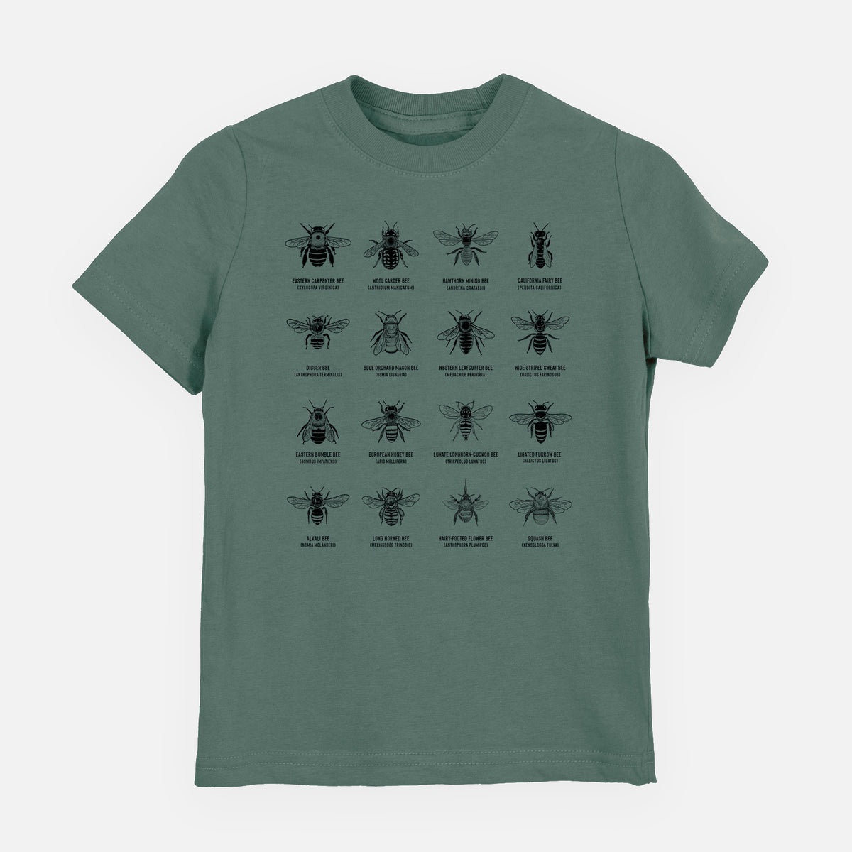 Basil green youth t-shirt laid flat, printed with a chart of black ink illustrations of different bee species with their names.