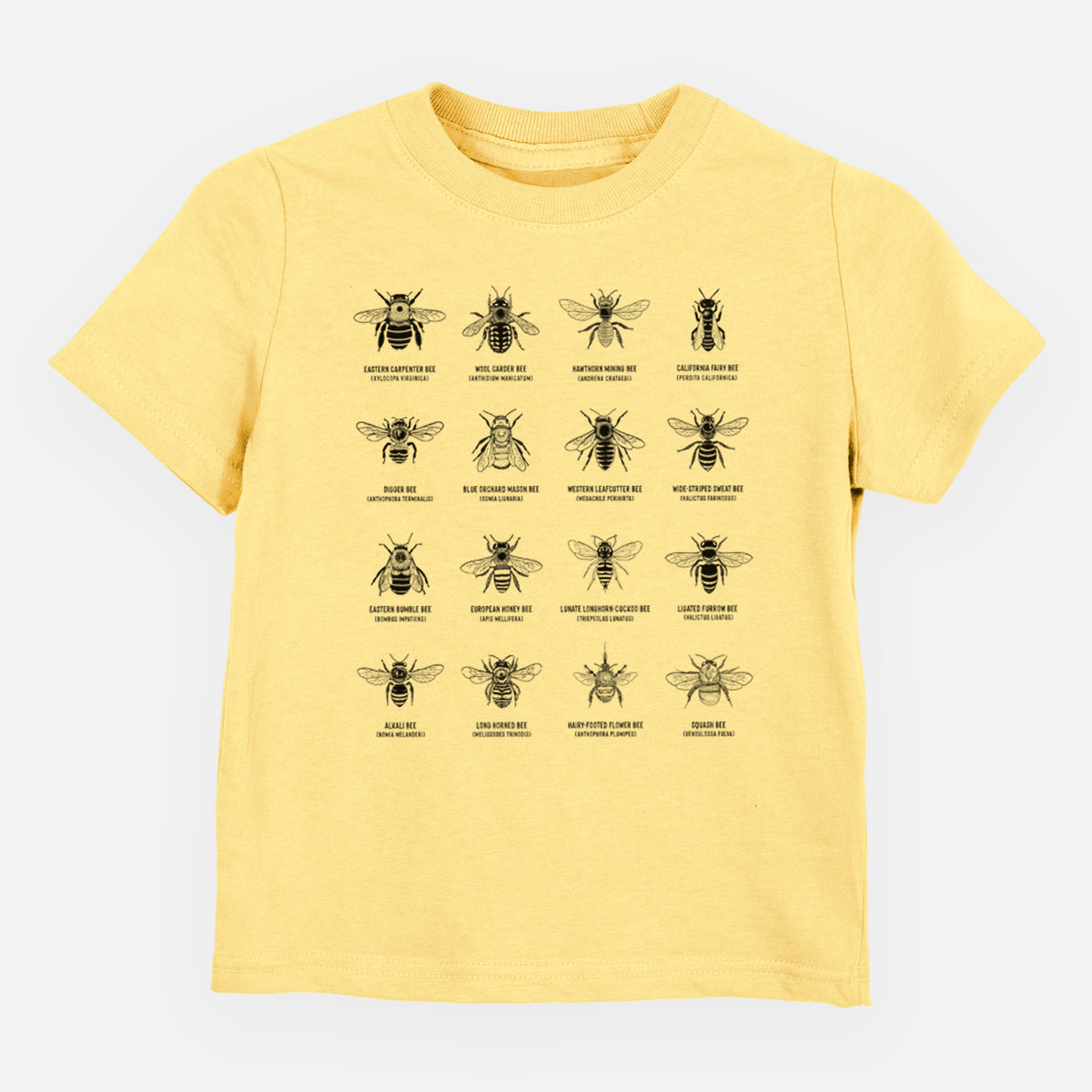 Butter yellow toddler t-shirt laid flat, printed with a chart of black ink illustrations of different bee species with their names.