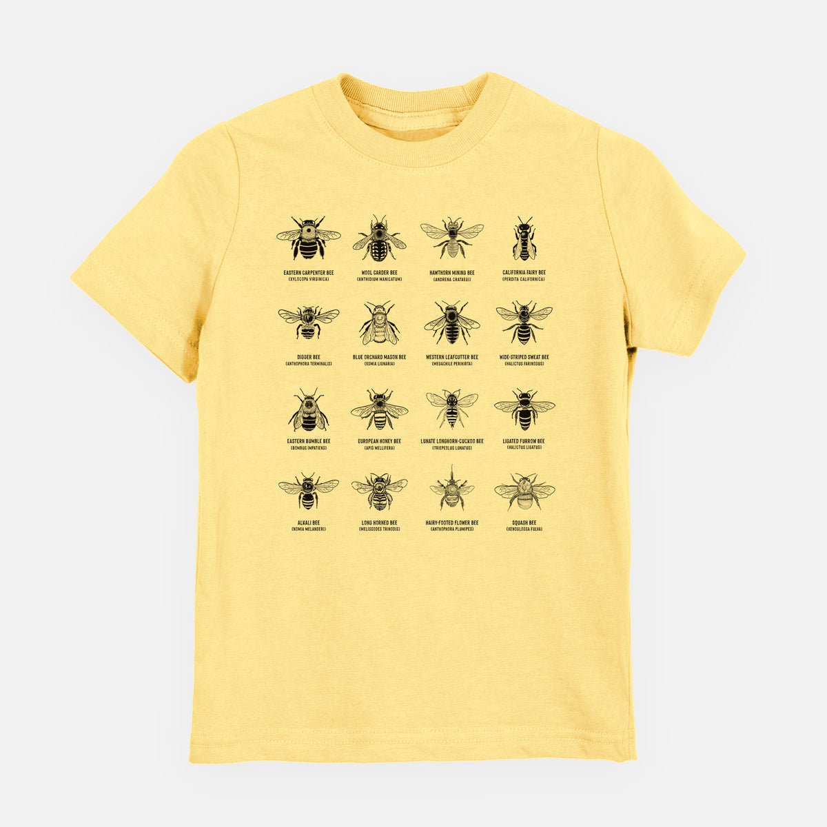 Butter yellow youth t-shirt laid flat, printed with a chart of black ink illustrations of different bee species with their names.