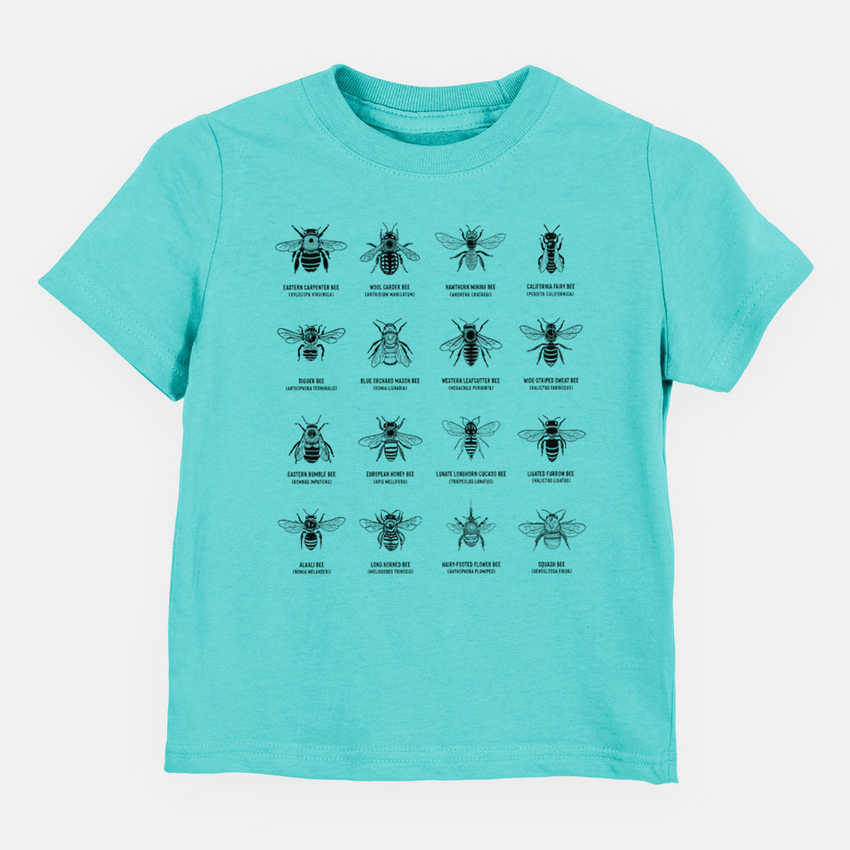 Caribbean blue toddler t-shirt laid flat, printed with a chart of black ink illustrations of different bee species with their names.