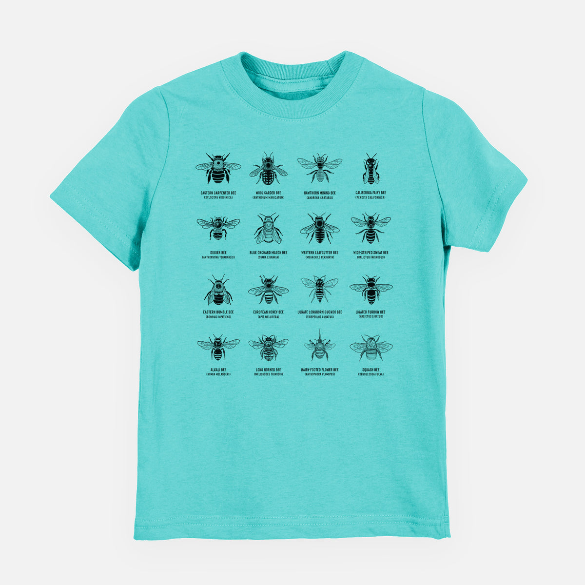 Caribbean blue youth t-shirt laid flat, printed with a chart of black ink illustrations of different bee species with their names.