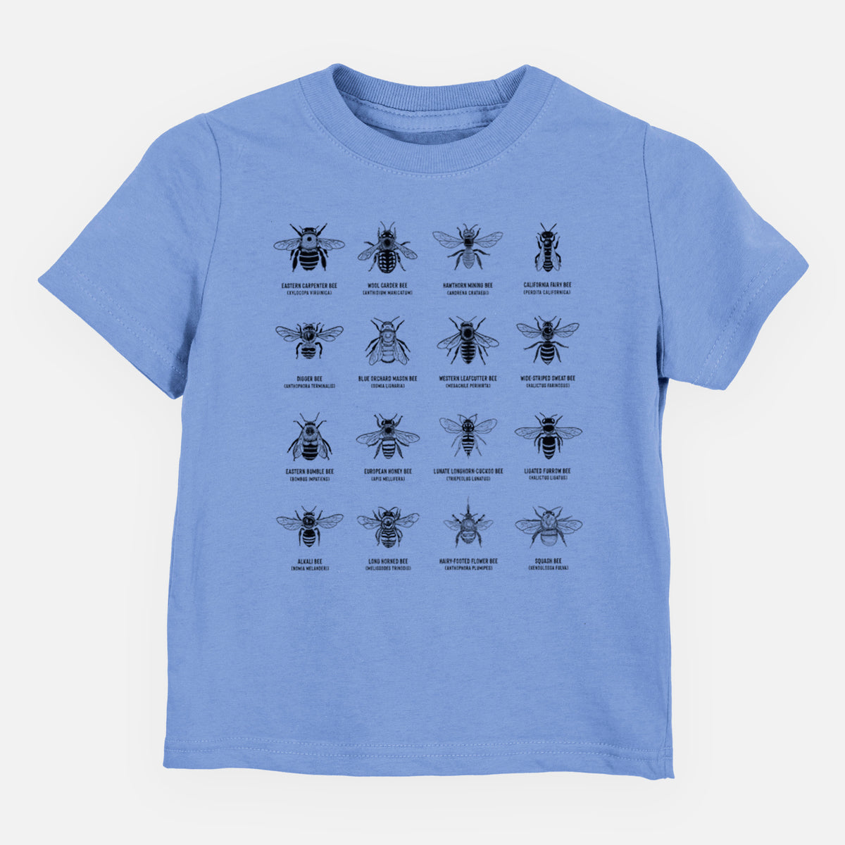 Carolina blue toddler t-shirt laid flat, printed with a chart of black ink illustrations of different bee species with their names.