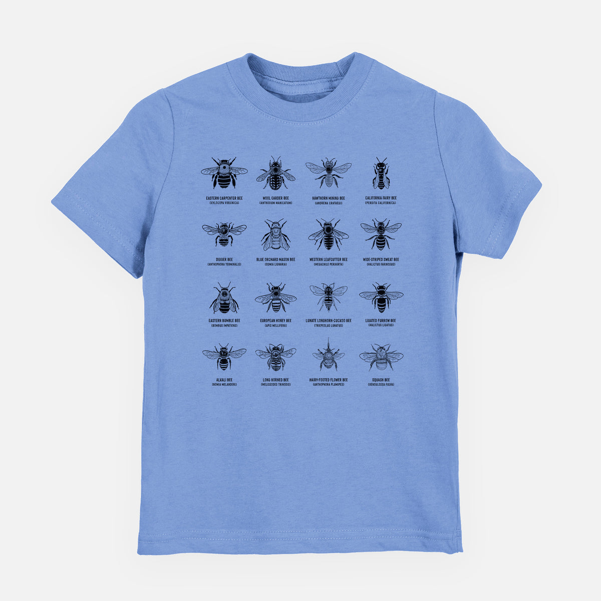 Carolina blue youth t-shirt laid flat, printed with a chart of black ink illustrations of different bee species with their names.