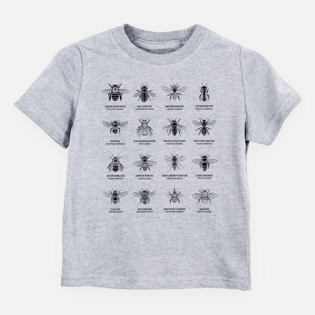 Heather grey toddler t-shirt laid flat, printed with a chart of black ink illustrations of different bee species with their names.