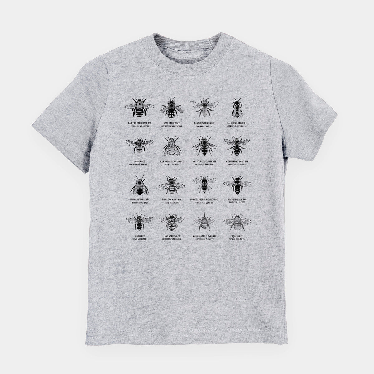 Heather grey youth t-shirt laid flat, printed with a chart of black ink illustrations of different bee species with their names.