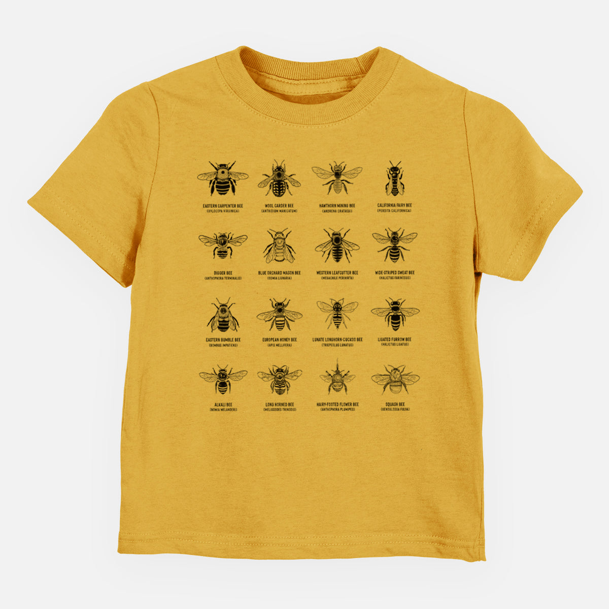 Honeycomb yellow toddler t-shirt laid flat, printed with a chart of black ink illustrations of different bee species with their names.