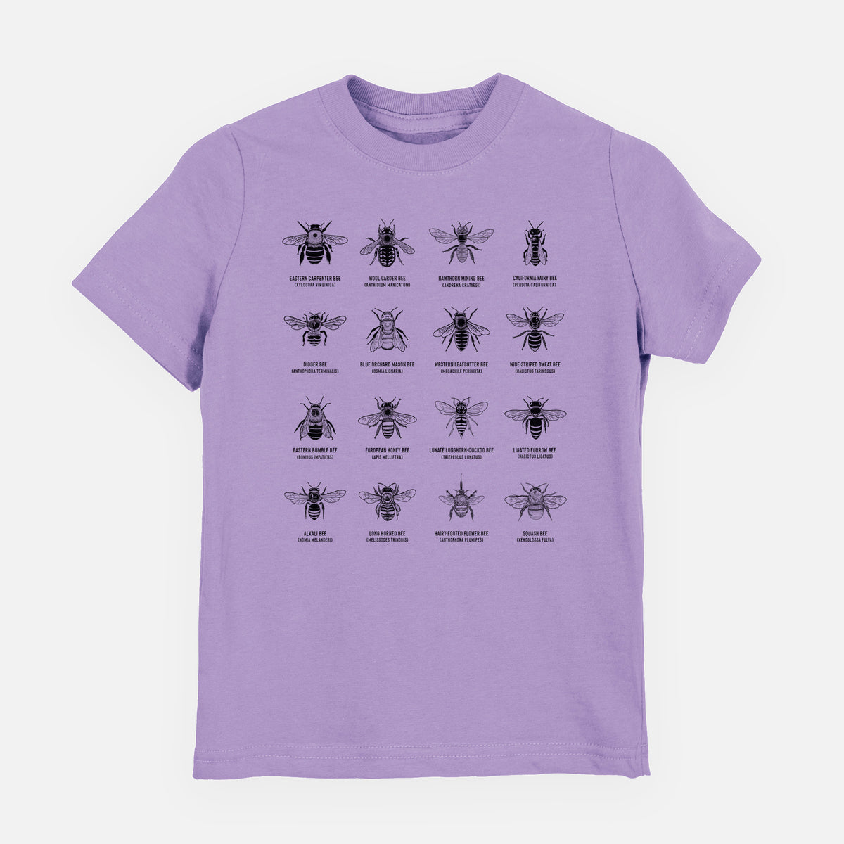 Lavender youth t-shirt laid flat, printed with a chart of black ink illustrations of different bee species with their names.