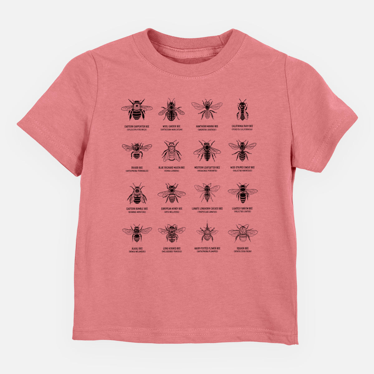 Mauve pink toddler t-shirt laid flat, printed with a chart of black ink illustrations of different bee species with their names.