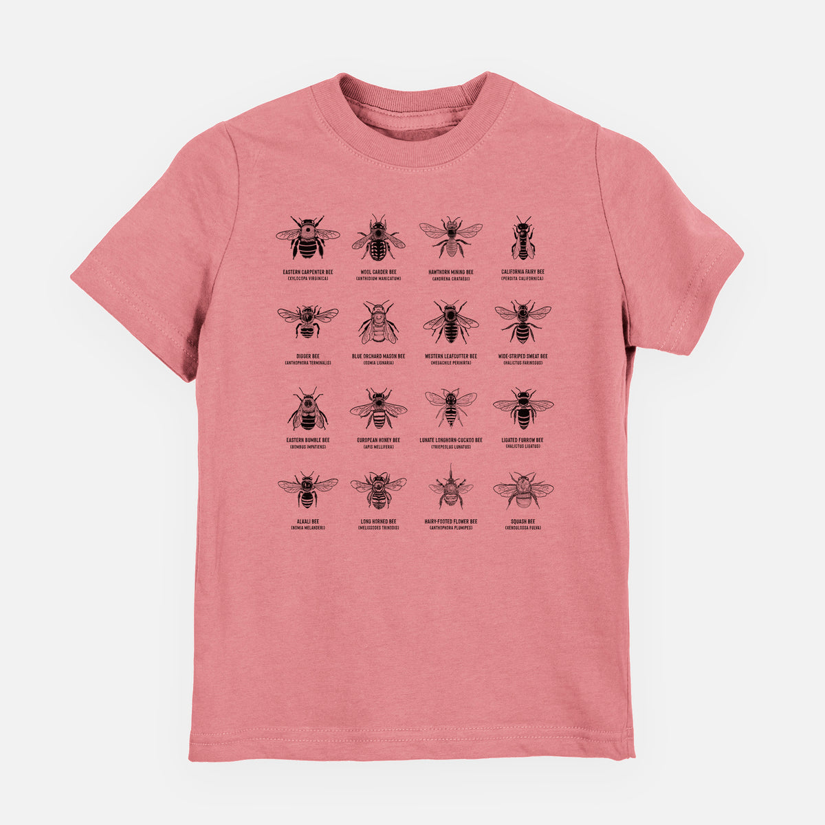 Mauve pink youth t-shirt laid flat, printed with a chart of black ink illustrations of different bee species with their names.