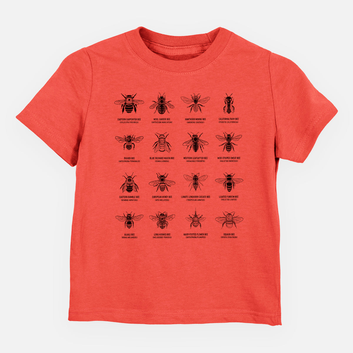 Passionfruit pink toddler t-shirt laid flat, printed with a chart of black ink illustrations of different bee species with their names.