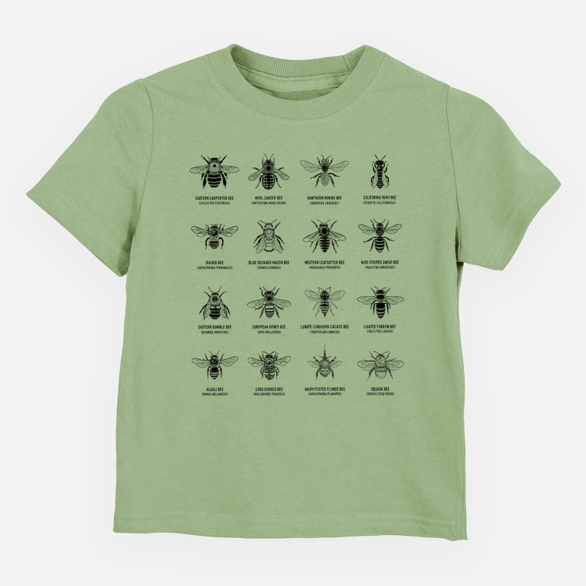 Sage green toddler t-shirt laid flat, printed with a chart of black ink illustrations of different bee species with their names.