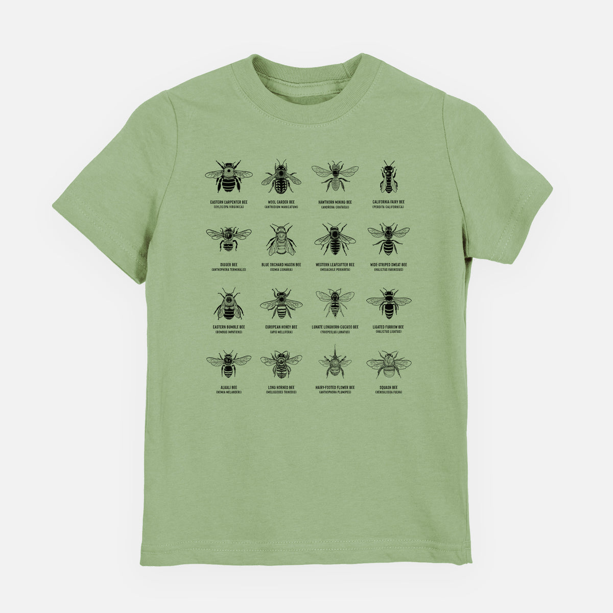 Sage green youth t-shirt laid flat, printed with a chart of black ink illustrations of different bee species with their names.