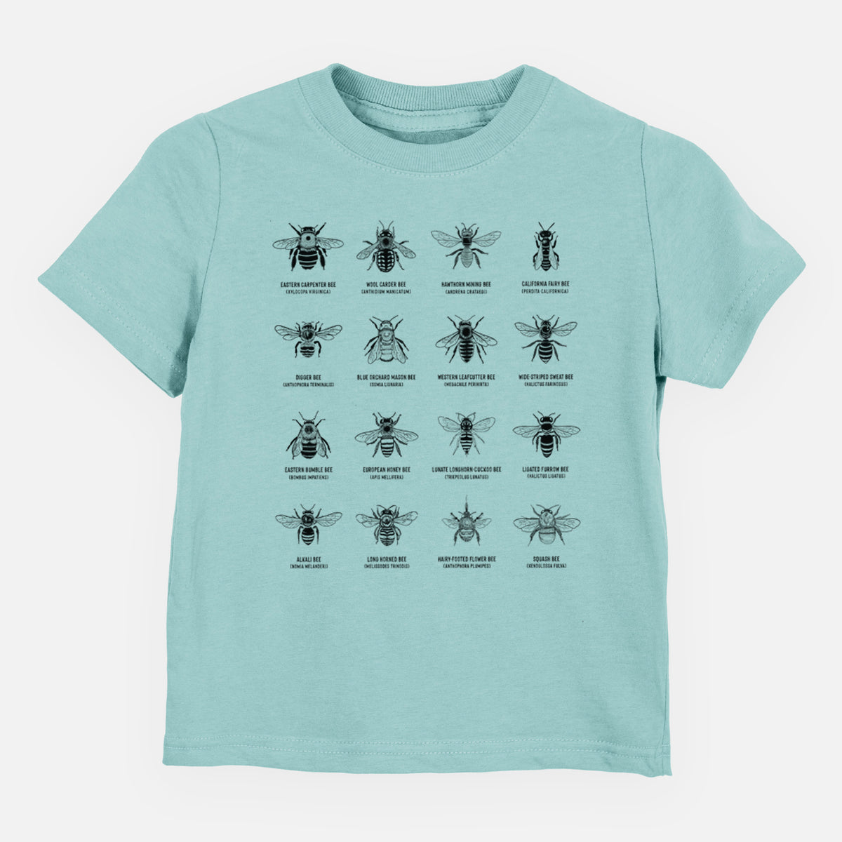Saltwater toddler t-shirt laid flat, printed with a chart of black ink illustrations of different bee species with their names.