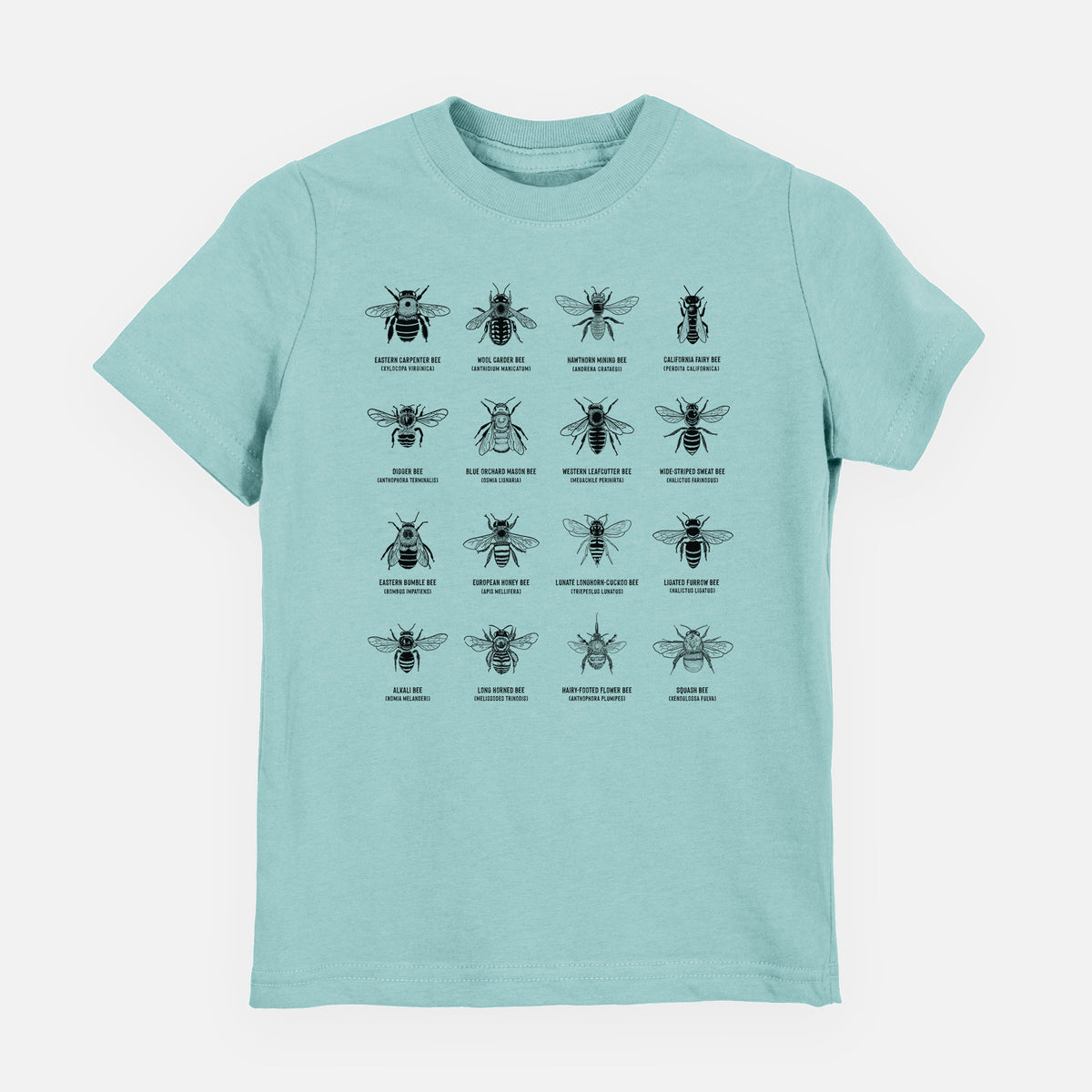 Saltwater youth t-shirt laid flat, printed with a chart of black ink illustrations of different bee species with their names.