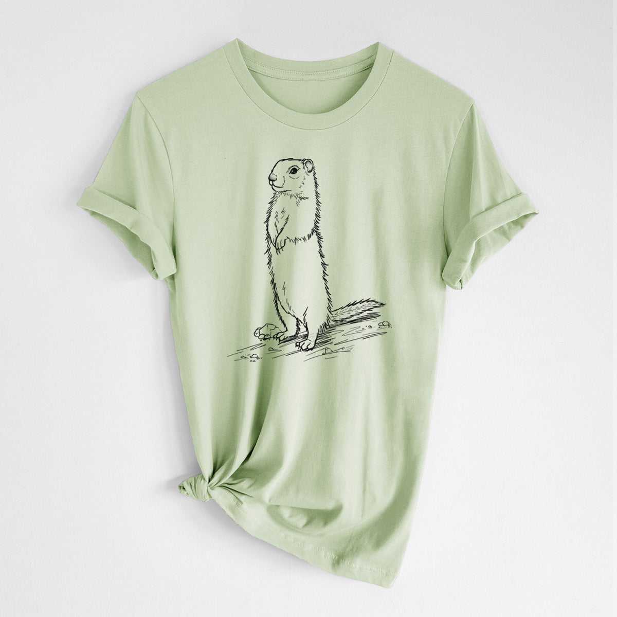 Spring green lightweight cotton t-shirt laid flat with the sleeves rolled, printed with a detailed black ink illustration of a Belding's ground squirrel standing upright.