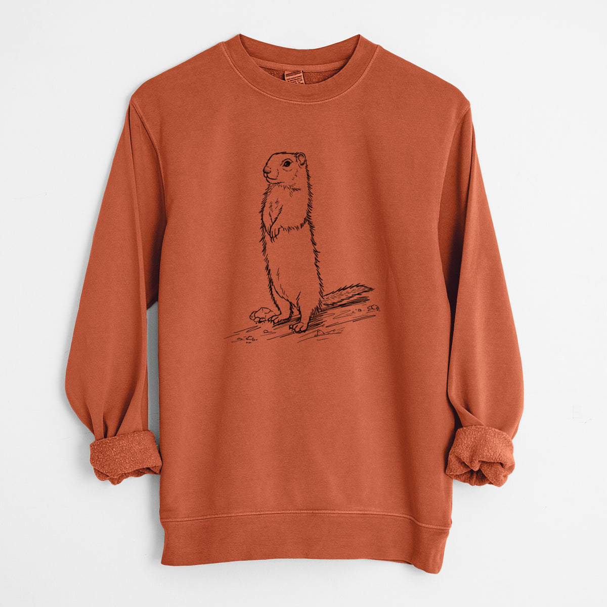 Belding's Ground Squirrel - Urocitellus beldingi - Unisex Pigment Dyed Crew Sweatshirt in Amber