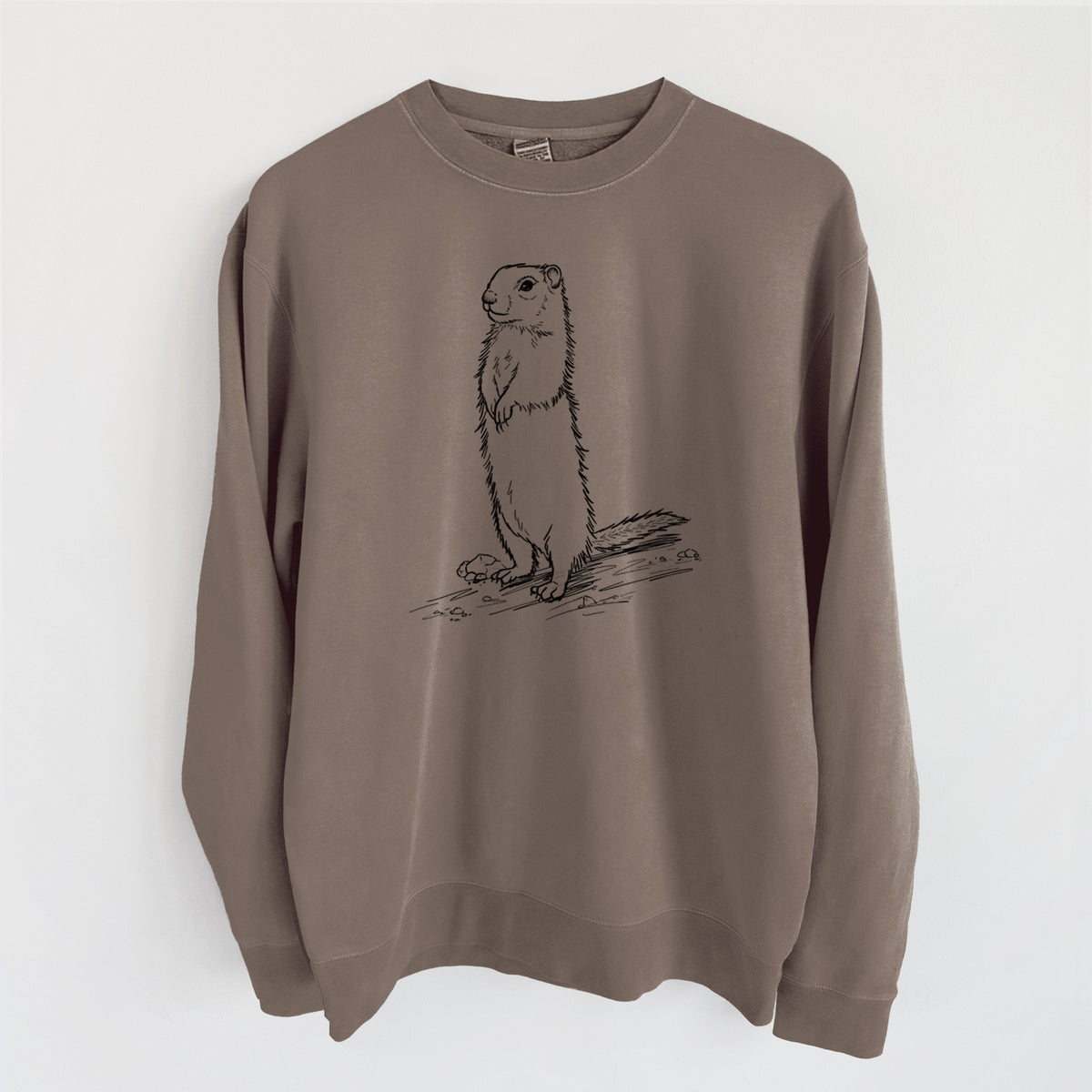 Belding's Ground Squirrel - Urocitellus beldingi - Unisex Pigment Dyed Crew Sweatshirt in Espresso Brown Color