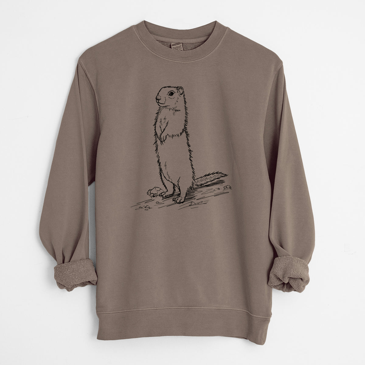 Belding's Ground Squirrel - Urocitellus beldingi - Unisex Pigment Dyed Crew Sweatshirt in Espresso Brown Color