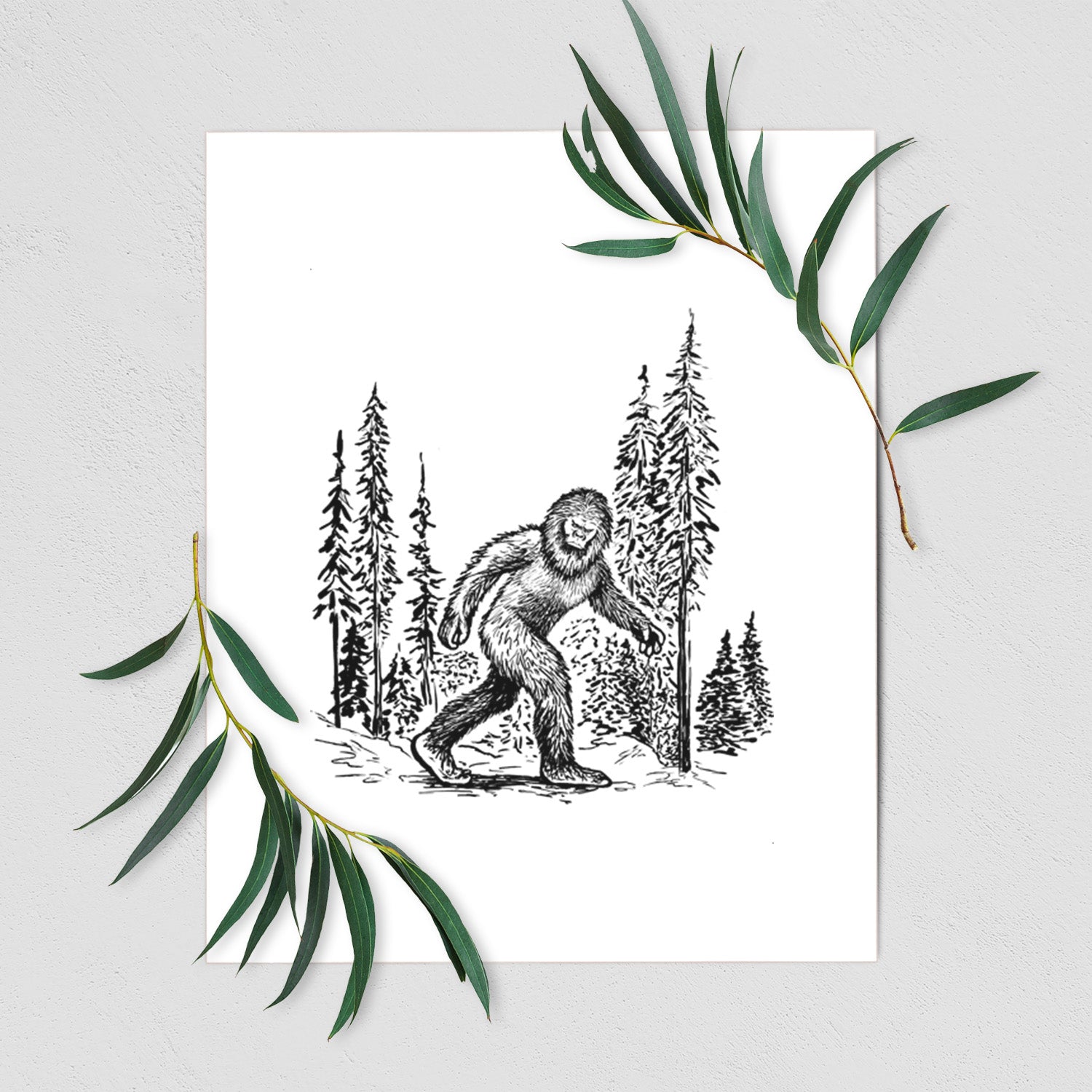 Art print of a black ink illustration of Bigfoot walking through a pine forest, shown with eucalyptus leaves.