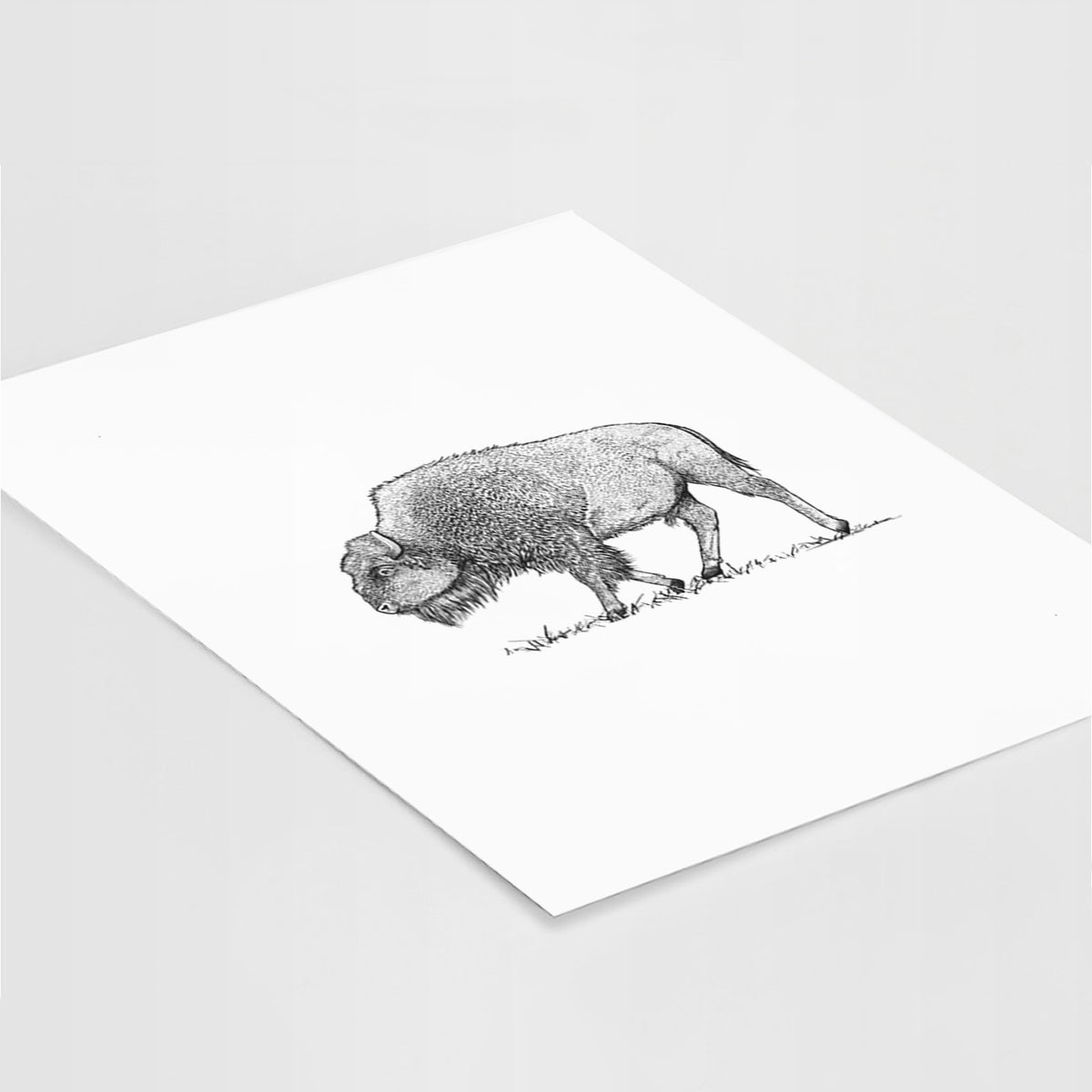 Art print of a detailed black ink illustration of an American bison walking through grass, lying at an angle on a white surface.
