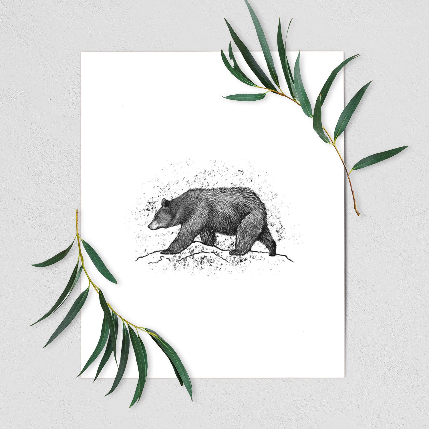 Art print of a detailed black ink sketch of a black bear walking across rocky ground, shown with eucalyptus leaves.