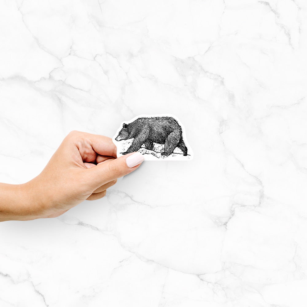 Hand holding a 4 inch vinyl decal of a detailed black ink sketch of a black bear walking across rocky ground.