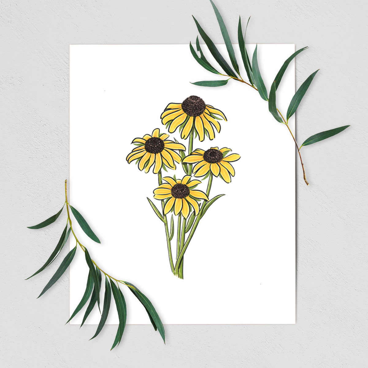 Art print of a full-color bouquet of yellow black-eyed Susan flowers, shown with eucalyptus leaves.