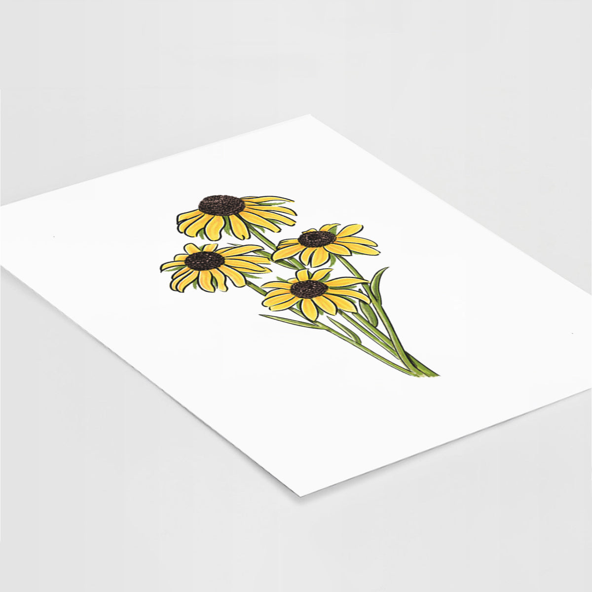 Art print of a full-color bouquet of yellow black-eyed Susan flowers, lying at an angle on a white surface.