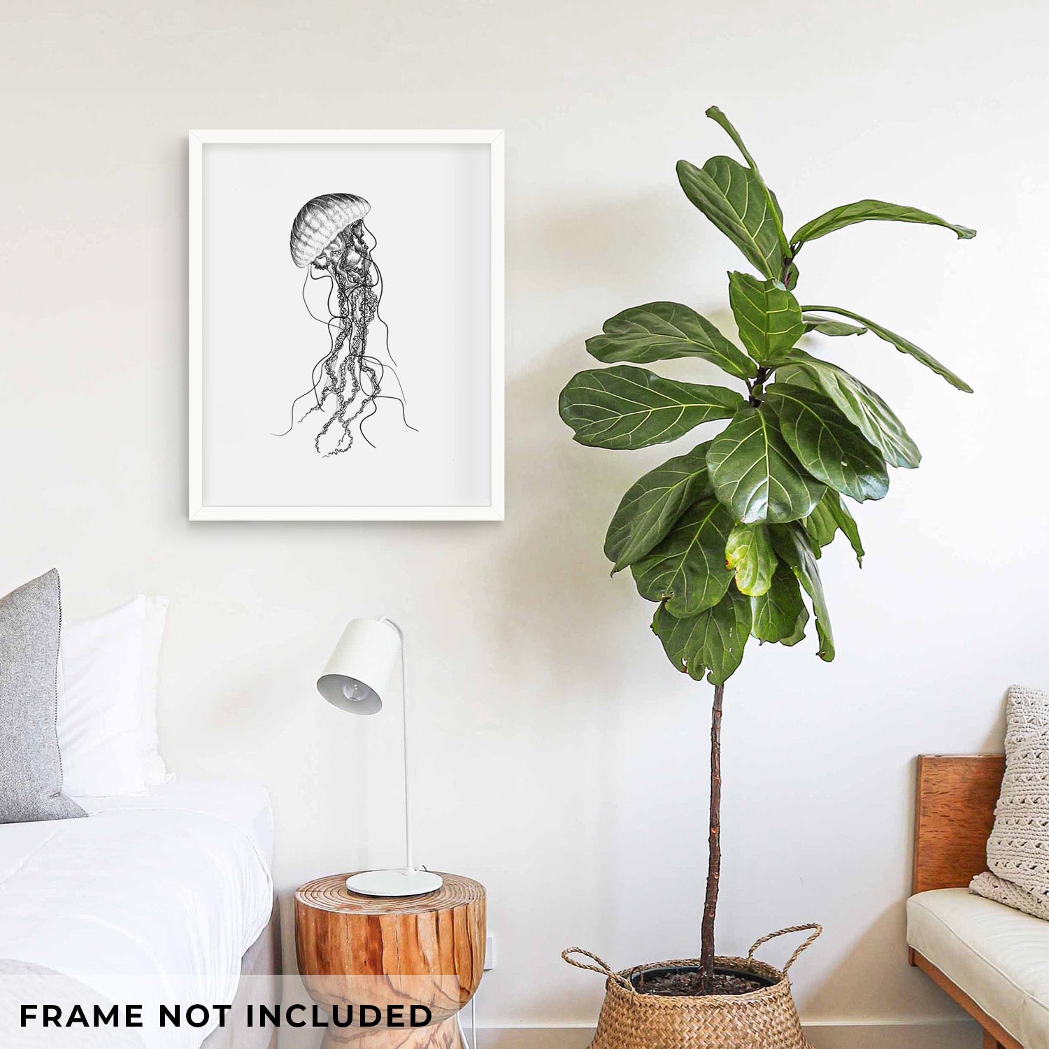 Art print of a black ink illustration of a black sea nettle jellyfish with long trailing tentacles, shown with eucalyptus leaves.
